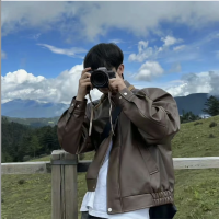 Shouyou NPV for China Ryan Profile
